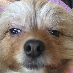 Meet your Posher, Erica